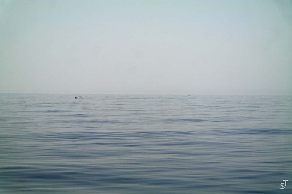 Oily Sea